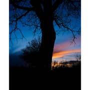 Fujifilm X-T50 Mirrorless Camera Silver + 15-45mm Lens Kit