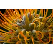 Fujifilm X-T50 Mirrorless Camera Silver + 15-45mm Lens Kit