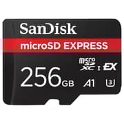 SanDisk Express microSD Card UHS-I 256GB Black SDSQXFN-256G-GN4NN