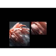 Xiaomi L43MAAFME A FHD Smart Television 43inch (2025 Model)