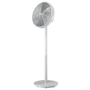 Philips 2000 Series Pedestal Fan CX2550/00