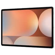 Samsung Galaxy Tab S10+ SM-X820NZSAMEA Tablet - WiFi 256GB 12GB 12.4inch Platinum Silver + S Pen