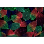 Fujifilm X-T5 Mirrorless Camera Silver + 16-50mm F/2.8-4.8 Lens