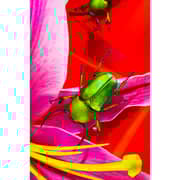 Fujifilm X-T5 Mirrorless Camera Silver + 16-50mm F/2.8-4.8 Lens