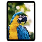 G-Tab PAD10 Tablet - WiFi+4G 128GB 4GB 10inch Grey