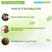 Mamaearth Tea Tree & Ginger Anti Dandruff Shampoo 250ml (Pack of 1pc)