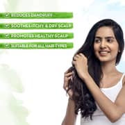 Mamaearth Tea Tree & Ginger Anti Dandruff Hair Oil 250ml (Pack of 1pc)