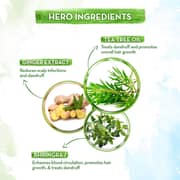 Mamaearth Tea Tree & Ginger Anti Dandruff Hair Oil 250ml (Pack of 1pc)