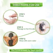 Mamaearth Rice Water Shampoo with Rice Water & Keratin 250ml (Pack of 1pc)