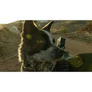 GoPro Hero Black Action Camera Specialty Bundle