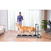 KingSmith WalkingPad R2 2-in-1 Treadmill TRR2FB