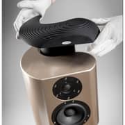 Crystal Cable 3D shape to Speaker Scala