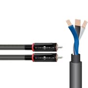 Wireworld Equinox 10 RCA Cable 1m Black