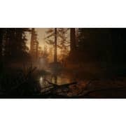 PS5 Alan Wake 2 Game