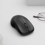 Rapoo Wireless Optical Mouse Black