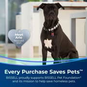 BISSELL Crosswave HF2 Vacuum For Dry & Wet Surfaces | 3845E | Corded | Two-Tank Technology and Self-cleaning cycle| 2 Years Warranty