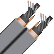 Wireworld Electra 10 Power Cord 1.5m Silver
