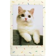 Fujifilm Photo Paper Film Sheets 10 Pcs