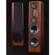 Legacy Audio Rosewood Speaker Focus XD