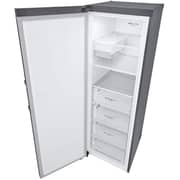 LG 11.4 Cu.Ft ThinQ Smart Inverter Compressor Single Door Freezer – LF131BBSIT.APZGNAG