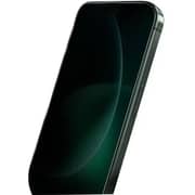 Green Lion 9H Steve Privacy Full Glass Screen Protector Black iPhone 16