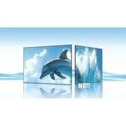 Minisforum Mini (2023) Desktop - Intel N100 / 256GB SSD / 8GB RAM / Shared Intel UHD Graphics / Windows 11 Pro / White - [S100]