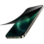 Green Lion 9H Steve Privacy Anti-Peeping Glass Black iPhone 16 Pro