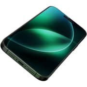 Green Lion 9H Steve Privacy Anti-Peeping Glass Black iPhone 16 Pro