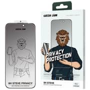 Green Lion 9H Steve Privacy Anti-Peeping Glass Black iPhone 16 Pro