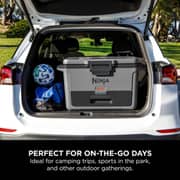 Ninja FrostVault Hard Bottle Cooler 47 Litres FB151UKGY