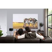 Xgimi XG-XK03K 1080P Projector Horizon