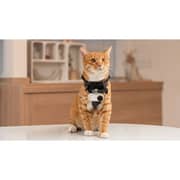 Insta360 Go 3S CINSAATA 4K Standard Edition White Action Camera