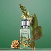 Salvatore Ferragamo Foreste Di Seta Perfume For Men & Women 100ml Eau de Parfum