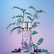 Salvatore Ferragamo Cieli Di Seta Perfume For Men & Women 100ml Eau de Parfum