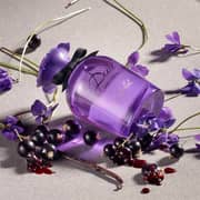 Dolce & Gabbana Dolce Violet Perfume For Women 50ml Eau de Toilette