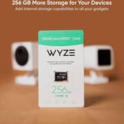 Wyze Expandable Storage MicroSDHC Card 256GB Black WYZEMSD256C10