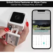 Wyze Expandable Storage MicroSDHC Card 256GB Black WYZEMSD256C10