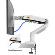 North Bayou Gas Spring Monitor Arm Wall Mount White
