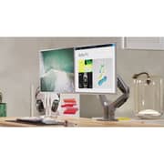 North Bayou Gas Spring Monitor Arm Wall Mount Black