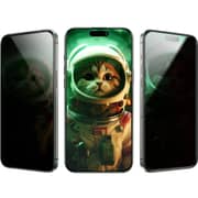 Green Lion Picasso 3D Privacy Screen Protector Black iPhone 16 Pro Max