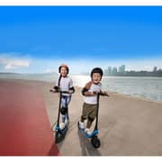 Ninebot NB-C2-LITE Bike Electric Scooter
