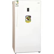 Basic Upright Freezer 481 Liters BUFS-625W