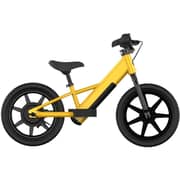 Switch EB-C100 E-Bike