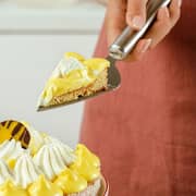 Nava Acer Cake Stainless Steel Server 1pc