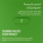 Yasmina Lite AI Smart Bluetooth Speaker Green - Y-00026