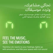 Yasmina Lite AI Smart Bluetooth Speaker Green - Y-00026