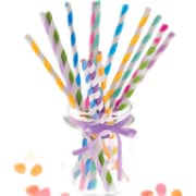 Trishi Straw 32pc Set