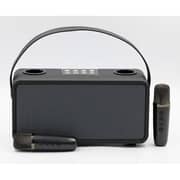 Magic Star PulZ Mini Karaoke System With 2 Microphones WJ-A810