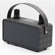 Magic Star PulZ Mini Karaoke System With 2 Microphones WJ-A810