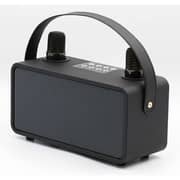 Magic Star PulZ Mini Karaoke System With 2 Microphones WJ-A810